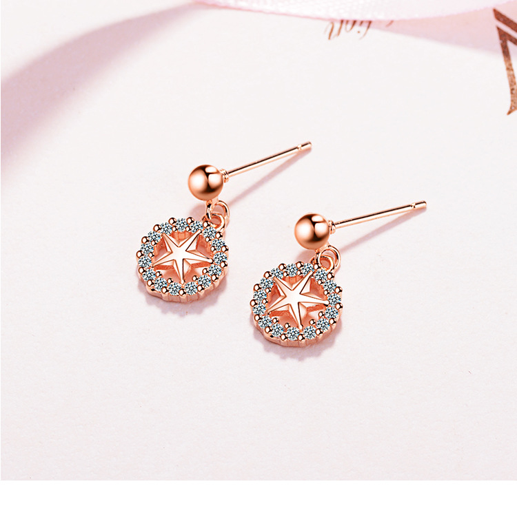 1 Pair Elegant Luxurious Commute Star Plating Inlay Copper Zircon Rose Gold Plated White Gold Plated Drop Earrings display picture 7
