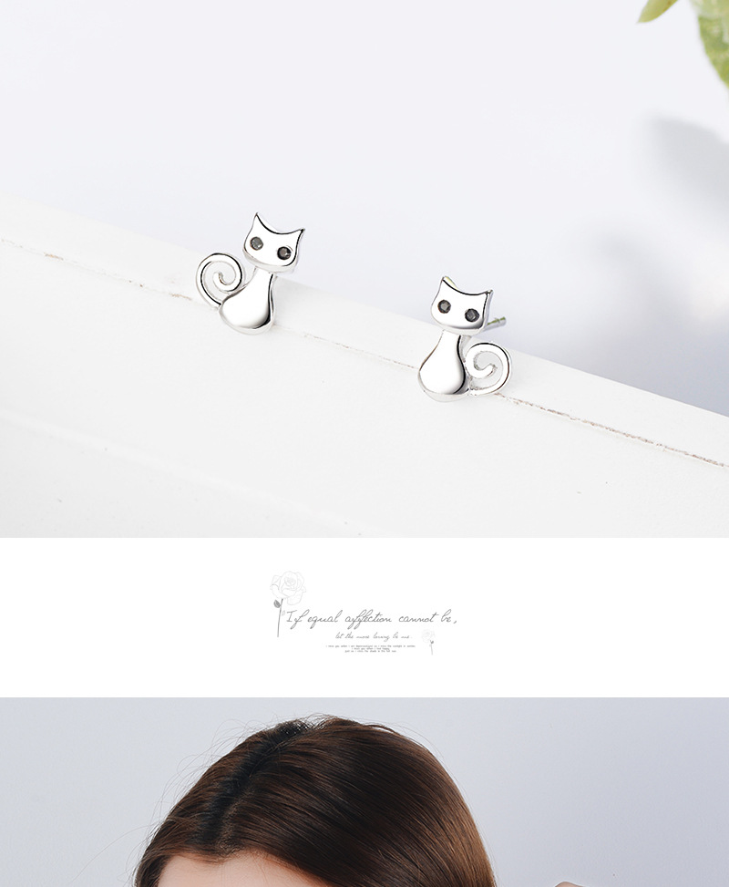 1 Pair Cute Cat Plating Inlay Copper Zircon White Gold Plated Ear Studs display picture 1