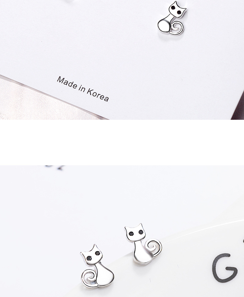 1 Pair Cute Cat Plating Inlay Copper Zircon White Gold Plated Ear Studs display picture 2