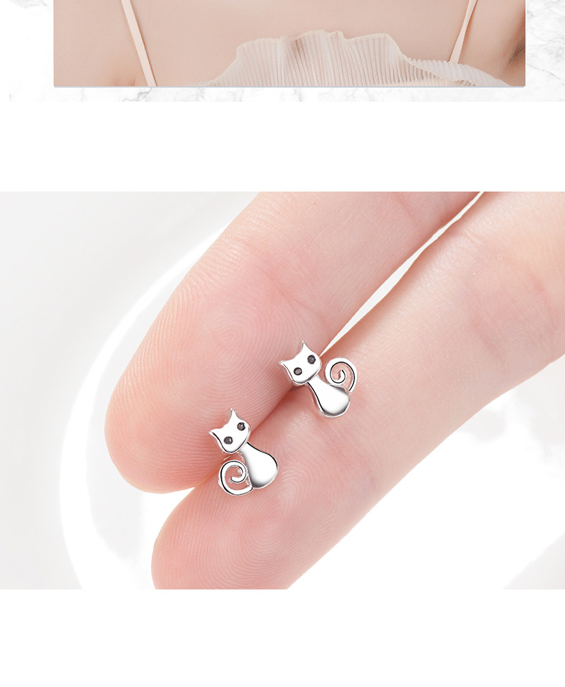 1 Pair Cute Cat Plating Inlay Copper Zircon White Gold Plated Ear Studs display picture 6