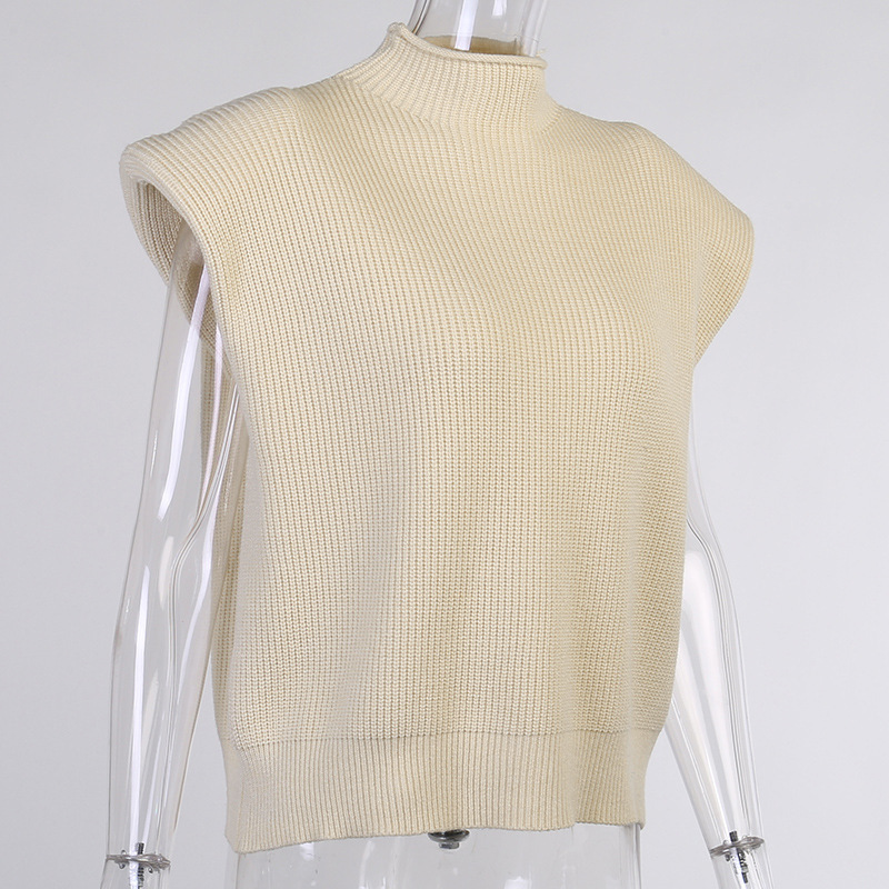 Women's Sweater Sleeveless Sweaters & Cardigans Patchwork Casual Solid Color display picture 9