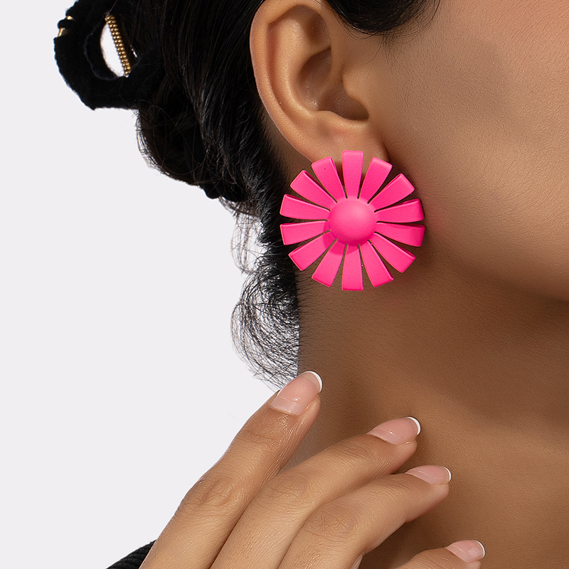 1 Pair Simple Style Flower Spray Paint Alloy Ear Studs display picture 14