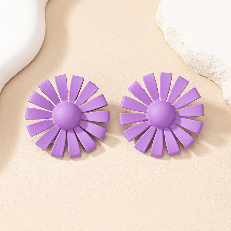 1 Pair Simple Style Flower Spray Paint Alloy Ear Studs display picture 20