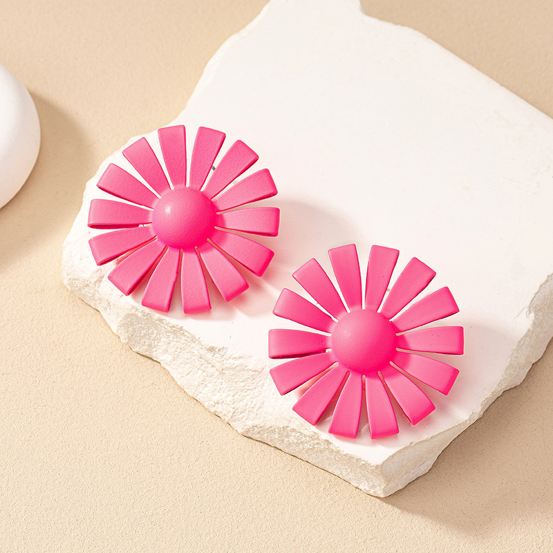 1 Pair Simple Style Flower Spray Paint Alloy Ear Studs display picture 28