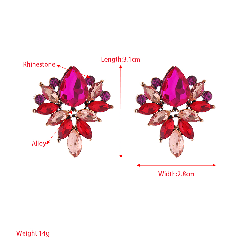 1 Paire Élégant Style Classique Fleur Incruster Verre Strass Boucles D'oreilles display picture 1