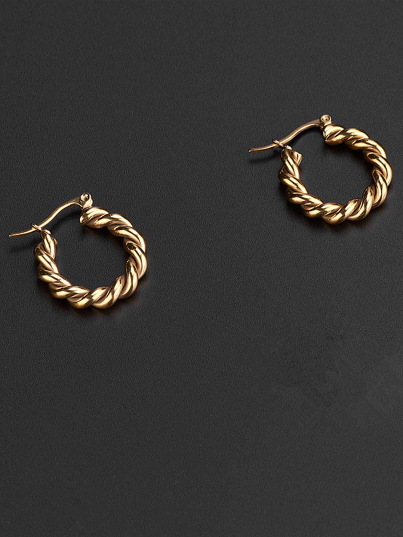 1 Pair Retro Twist Plating 304 Stainless Steel 18K Gold Plated Earrings display picture 6