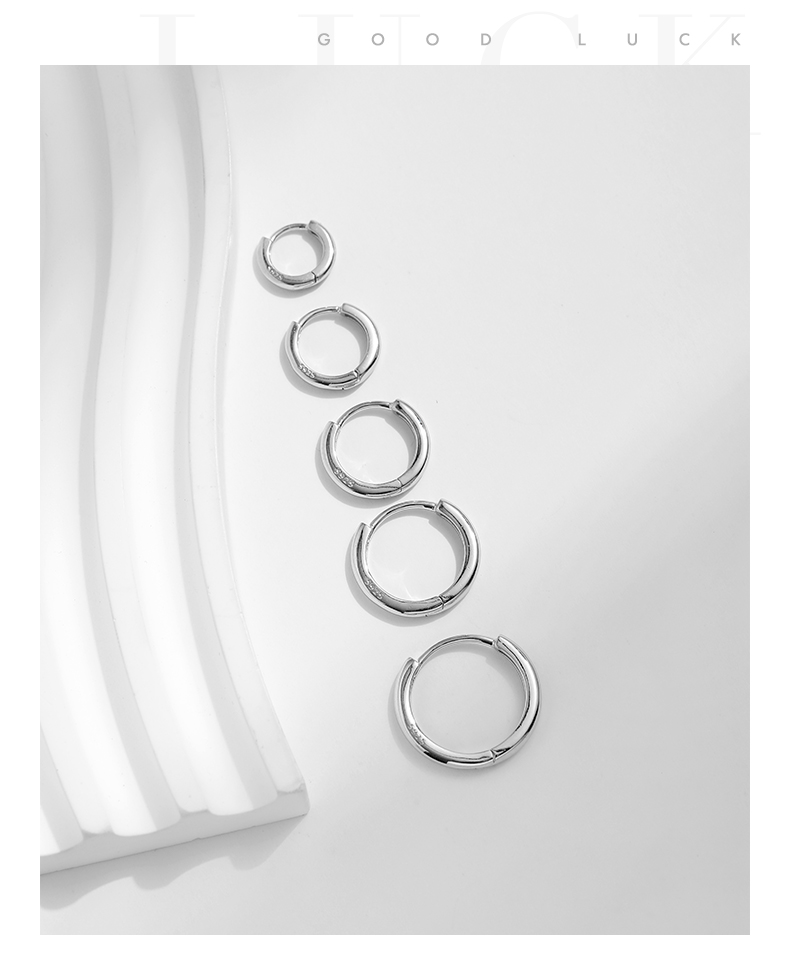 1 Pair Ig Style Elegant Sweet Round Plating Sterling Silver 18k Gold Plated Rhodium Plated Hoop Earrings display picture 7