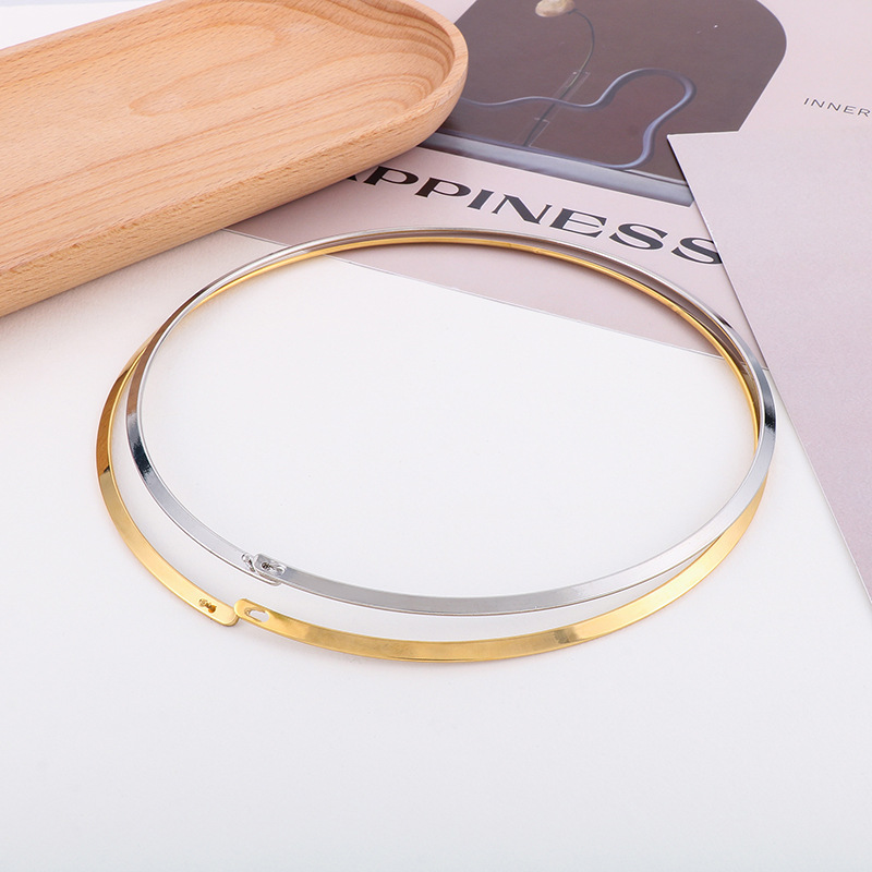 Titan Stahl 18 Karat Vergoldet Einfacher Stil Einfarbig Halsband display picture 2
