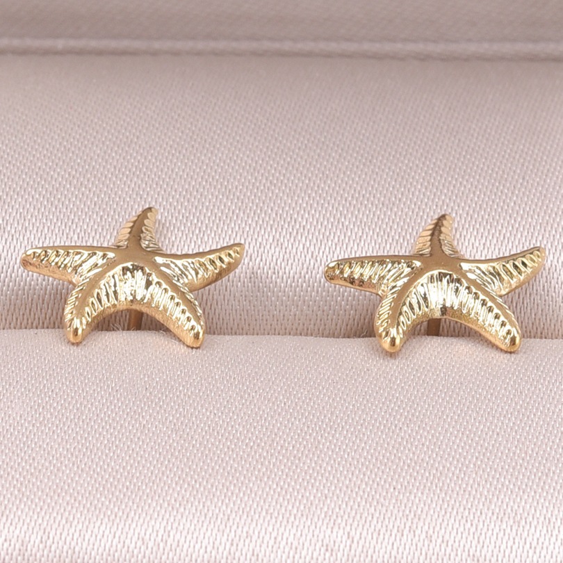 1 Pair Simple Style Round Star Plating Stainless Steel Ear Studs display picture 3