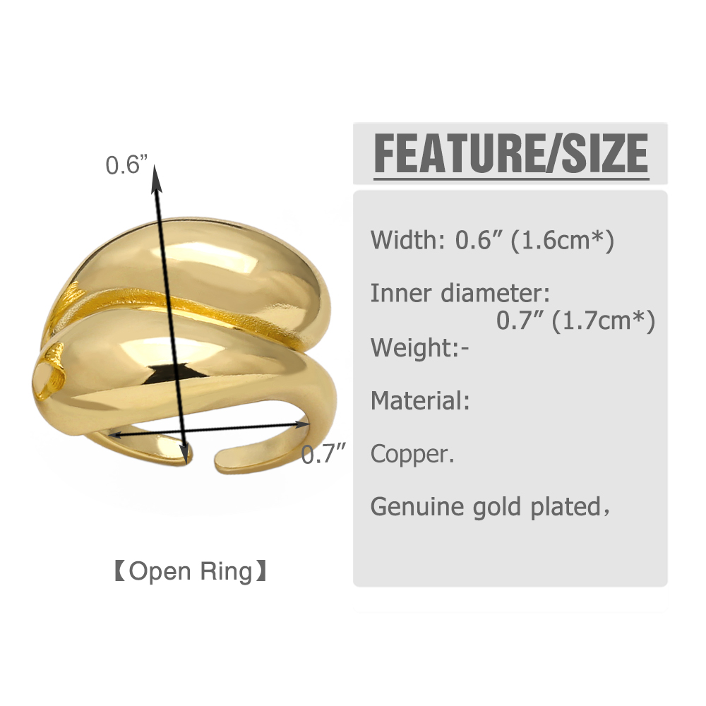 Simple Style Wings Copper Plating 18k Gold Plated Rings display picture 1