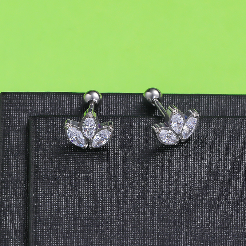 1 Pair Lady Solid Color Polishing Inlay Pure Titanium Zircon Ear Studs display picture 1