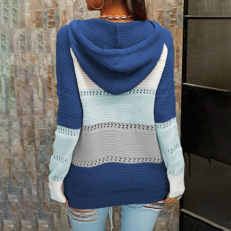 Women's Knitwear Long Sleeve Sweaters & Cardigans Casual Streetwear Color Block display picture 12