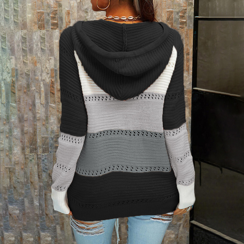 Women's Knitwear Long Sleeve Sweaters & Cardigans Casual Streetwear Color Block display picture 15