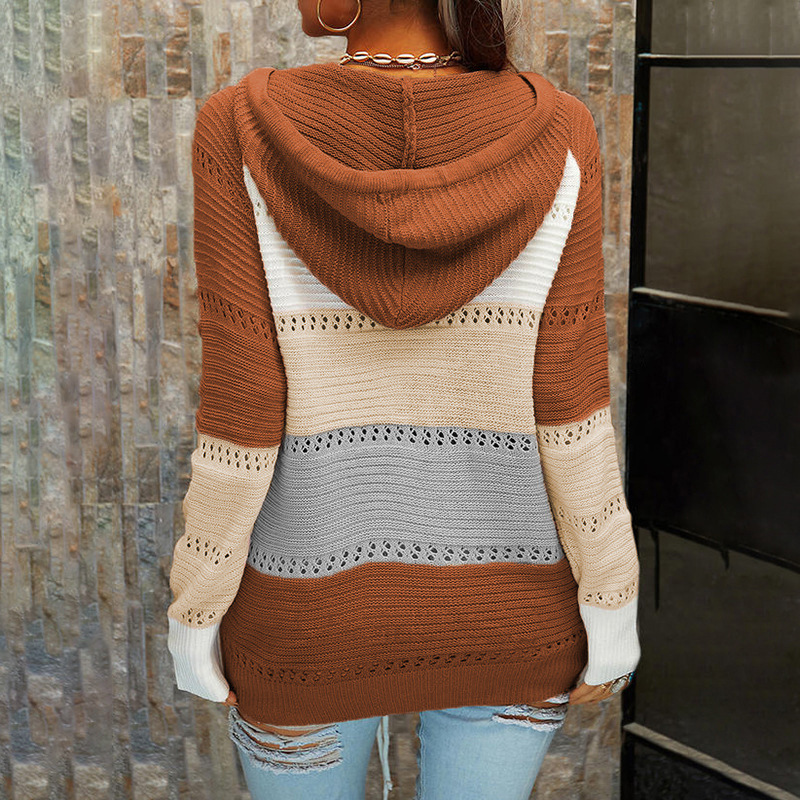 Women's Knitwear Long Sleeve Sweaters & Cardigans Casual Streetwear Color Block display picture 17