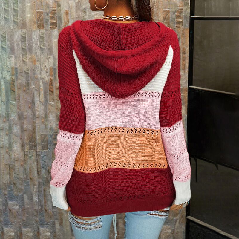 Women's Knitwear Long Sleeve Sweaters & Cardigans Casual Streetwear Color Block display picture 19