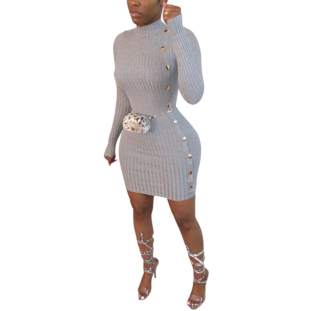 Women's Sheath Dress Casual Elegant Turtleneck Long Sleeve Solid Color Above Knee Daily Street display picture 5