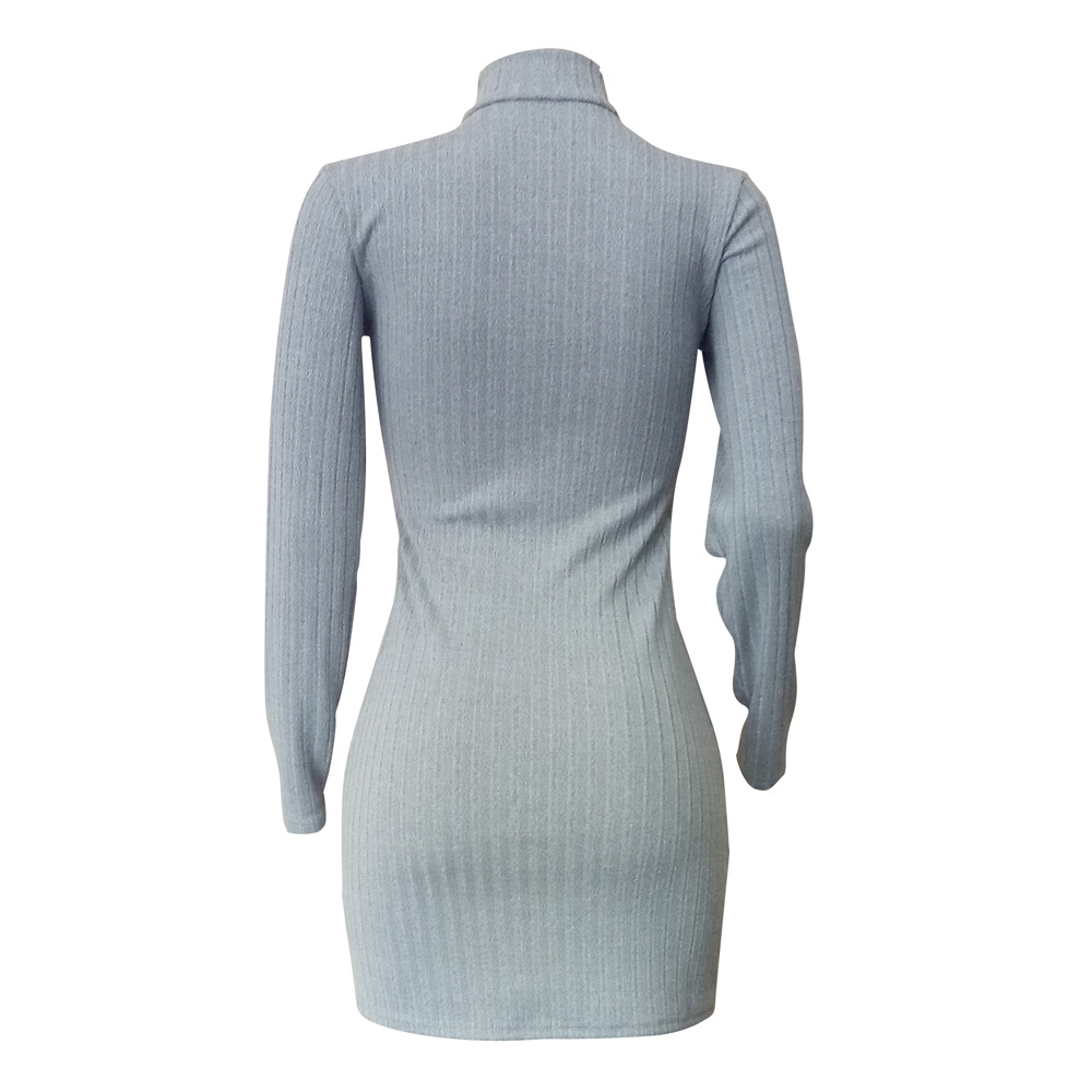 Women's Sheath Dress Casual Elegant Turtleneck Long Sleeve Solid Color Above Knee Daily Street display picture 14