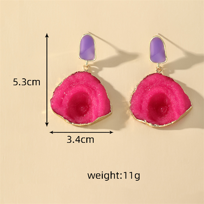 1 Pair Casual Vintage Style Simple Style Geometric Resin Drop Earrings display picture 13