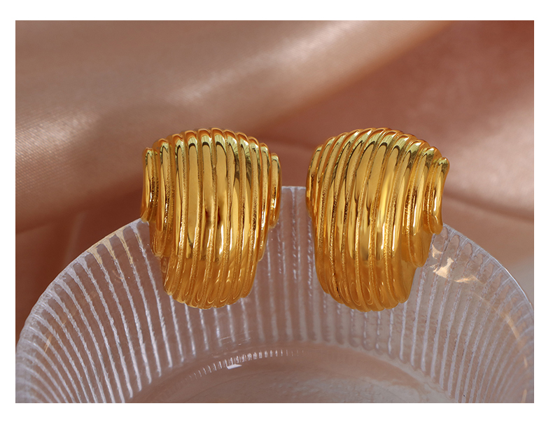 1 Pair Vintage Style Stripe Lines Plating Titanium Steel 18k Gold Plated Ear Studs display picture 5