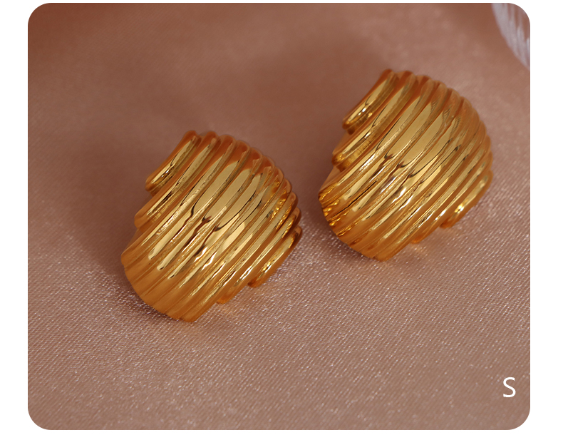 1 Pair Vintage Style Stripe Lines Plating Titanium Steel 18k Gold Plated Ear Studs display picture 8