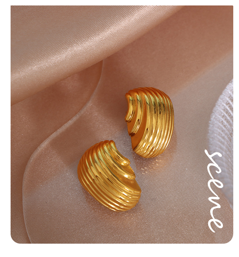 1 Pair Vintage Style Stripe Lines Plating Titanium Steel 18k Gold Plated Ear Studs display picture 6