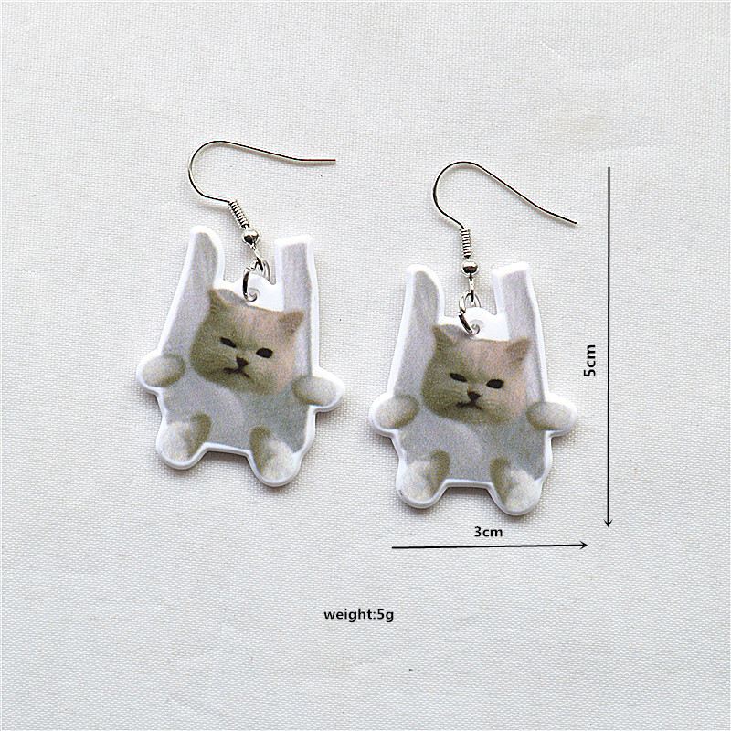 1 Pair Cute Vacation Sweet Cat Fish Arylic Metal Drop Earrings display picture 10