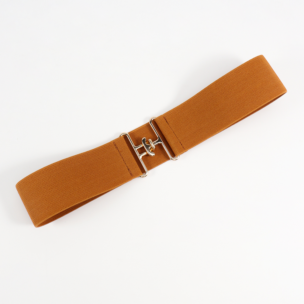 Vacation Formal Simple Style Color Block Alloy Buckle Women's Woven Belts display picture 5
