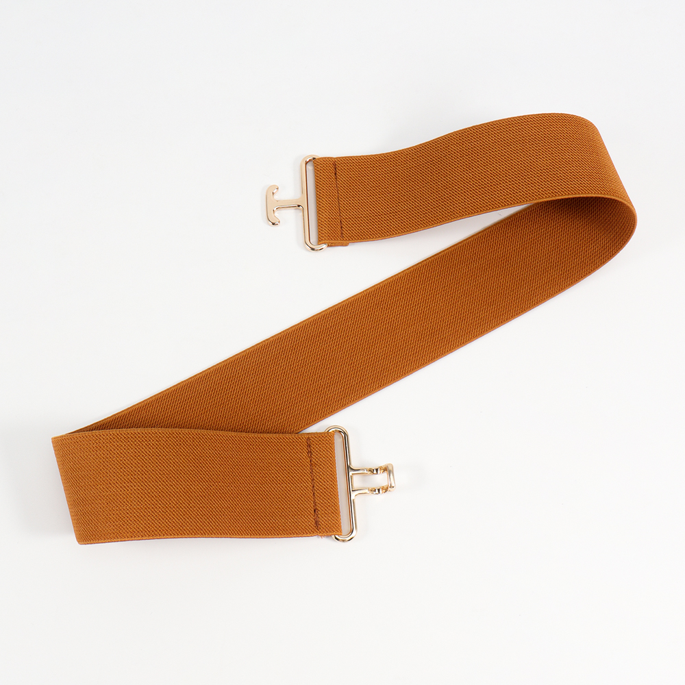 Vacation Formal Simple Style Color Block Alloy Buckle Women's Woven Belts display picture 6