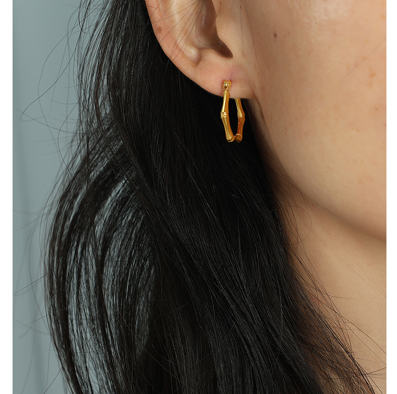 1 Pair Elegant Vintage Style C Shape Bamboo Plating Titanium Steel 18k Gold Plated Hoop Earrings display picture 5