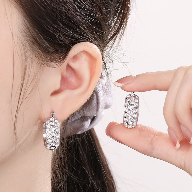 1 Pair Simple Style Round Plating Inlay Stainless Steel Zircon 18K Gold Plated Earrings display picture 4