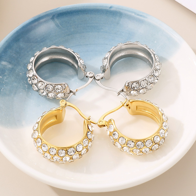 1 Pair Simple Style Round Plating Inlay Stainless Steel Zircon 18K Gold Plated Earrings display picture 10