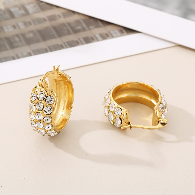 1 Pair Simple Style Round Plating Inlay Stainless Steel Zircon 18K Gold Plated Earrings display picture 8