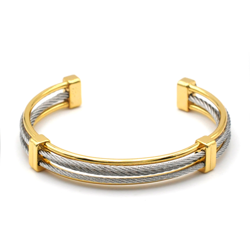 Ig Style Retro Geometric Stainless Steel Titanium Steel Plating 18k Gold Plated Bangle display picture 2