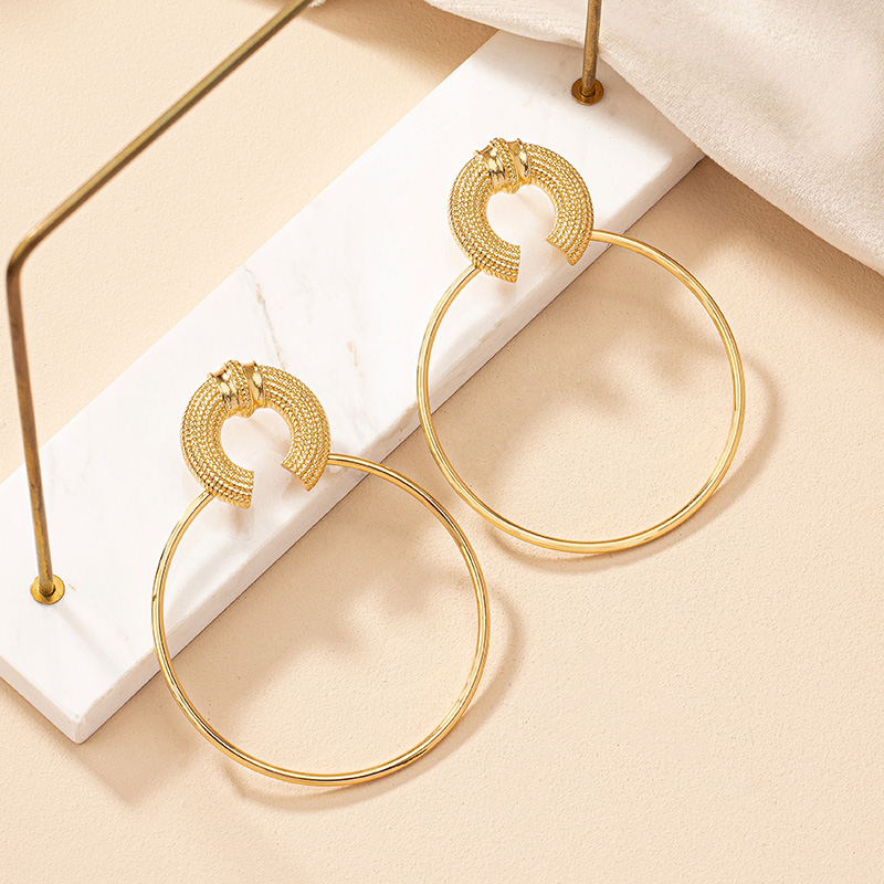 1 Pair Simple Style Circle Plating Alloy Gold Plated Hoop Earrings display picture 2