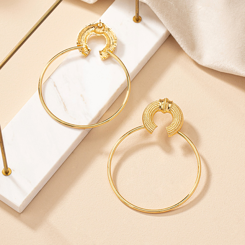 1 Pair Simple Style Circle Plating Alloy Gold Plated Hoop Earrings display picture 4