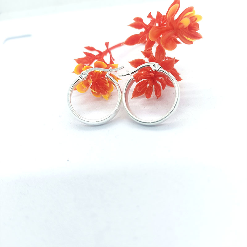 1 Pair Simple Style Commute Solid Color Plating Stainless Steel Silver Plated Earrings display picture 1