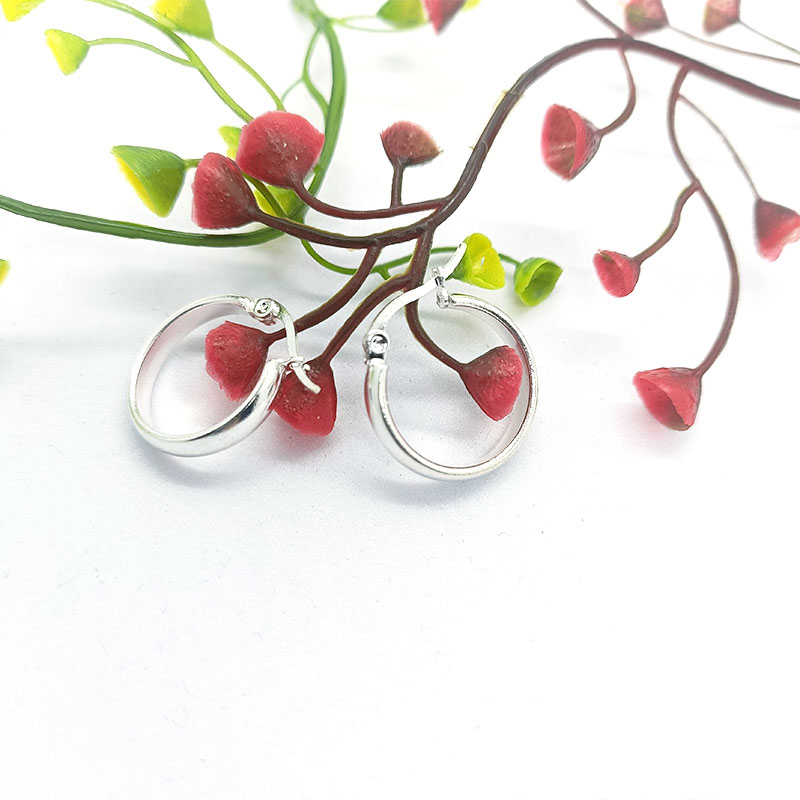 1 Pair Simple Style Commute Solid Color Plating Stainless Steel Silver Plated Earrings display picture 3