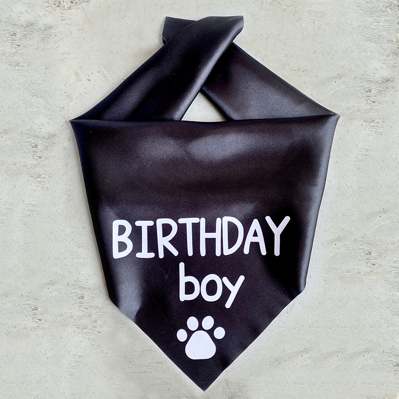 Cute Satin Cloth Birthday Letter Pet Scarf display picture 5