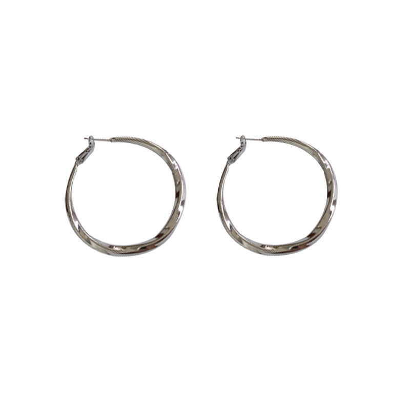 1 Pair Simple Style Solid Color Plating Metal Hoop Earrings display picture 11
