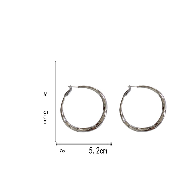 1 Pair Simple Style Solid Color Plating Metal Hoop Earrings display picture 12