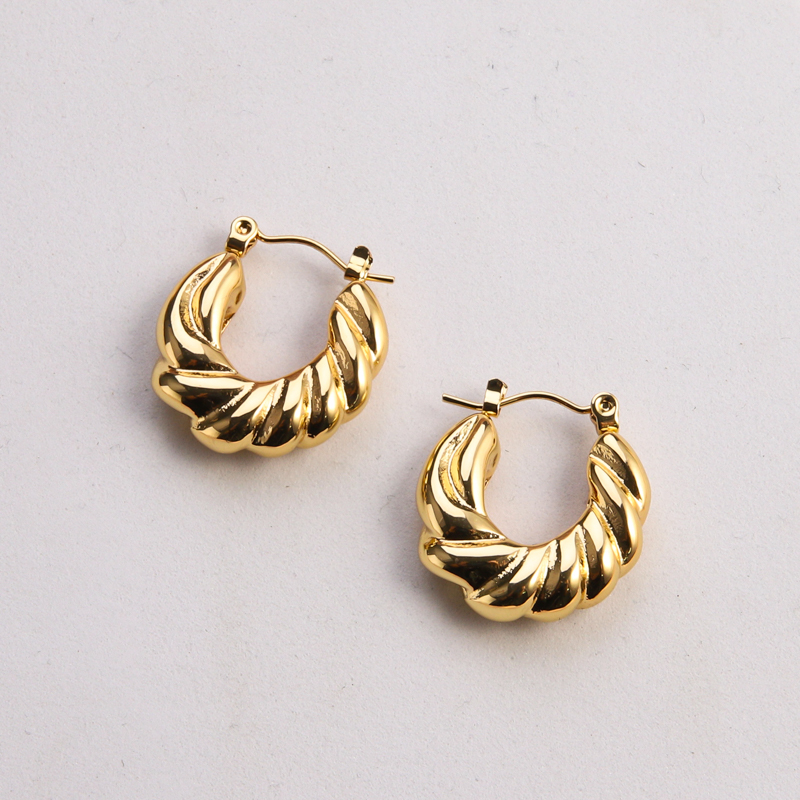 1 Pair Casual Classic Style Commute Twist Plating 304 Stainless Steel 18K Gold Plated Earrings display picture 5