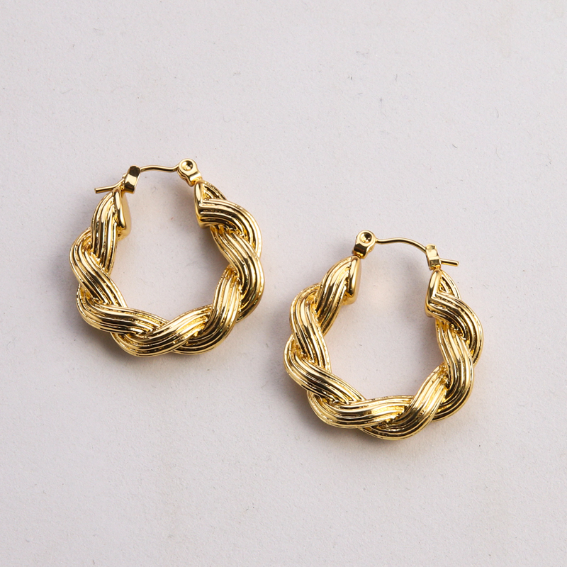 1 Pair Casual Classic Style Commute Twist Plating 304 Stainless Steel 18K Gold Plated Earrings display picture 3