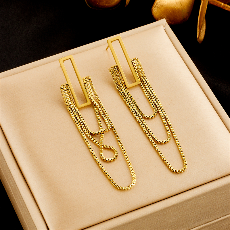 1 Pair Simple Style Rectangle Tassel Plating Titanium Steel 18k Gold Plated Drop Earrings display picture 5