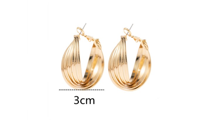 1 Pair Fashion Stripe Solid Color Metal Women's Hoop Earrings display picture 6