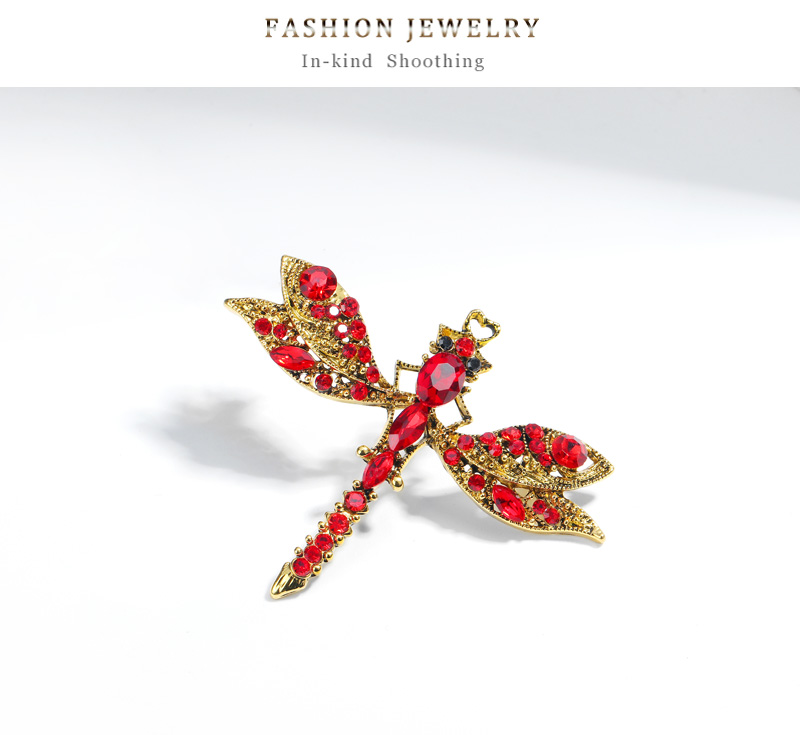 Fashion Dragonfly Alloy Inlay Rhinestones Unisex Brooches display picture 1