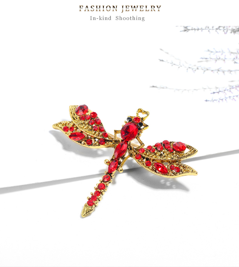 Fashion Dragonfly Alloy Inlay Rhinestones Unisex Brooches display picture 6