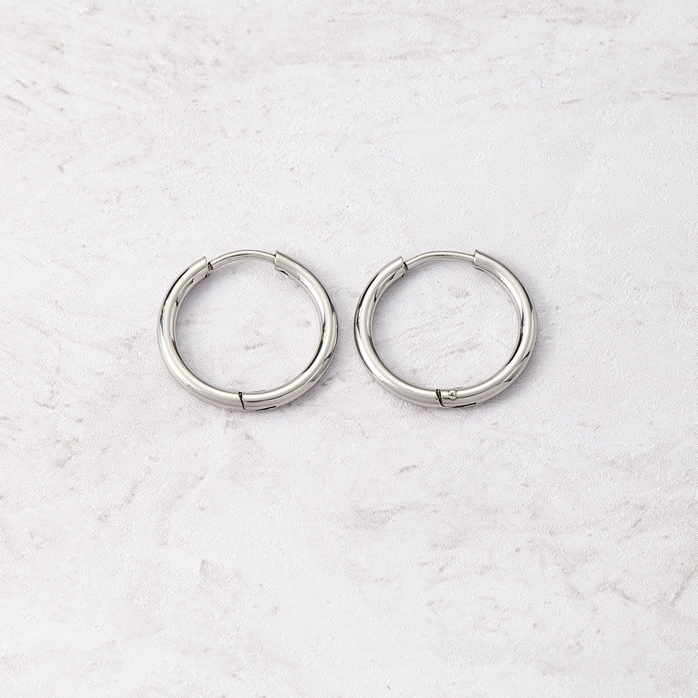 1 Pair Simple Style Circle Metal Women's Hoop Earrings display picture 5