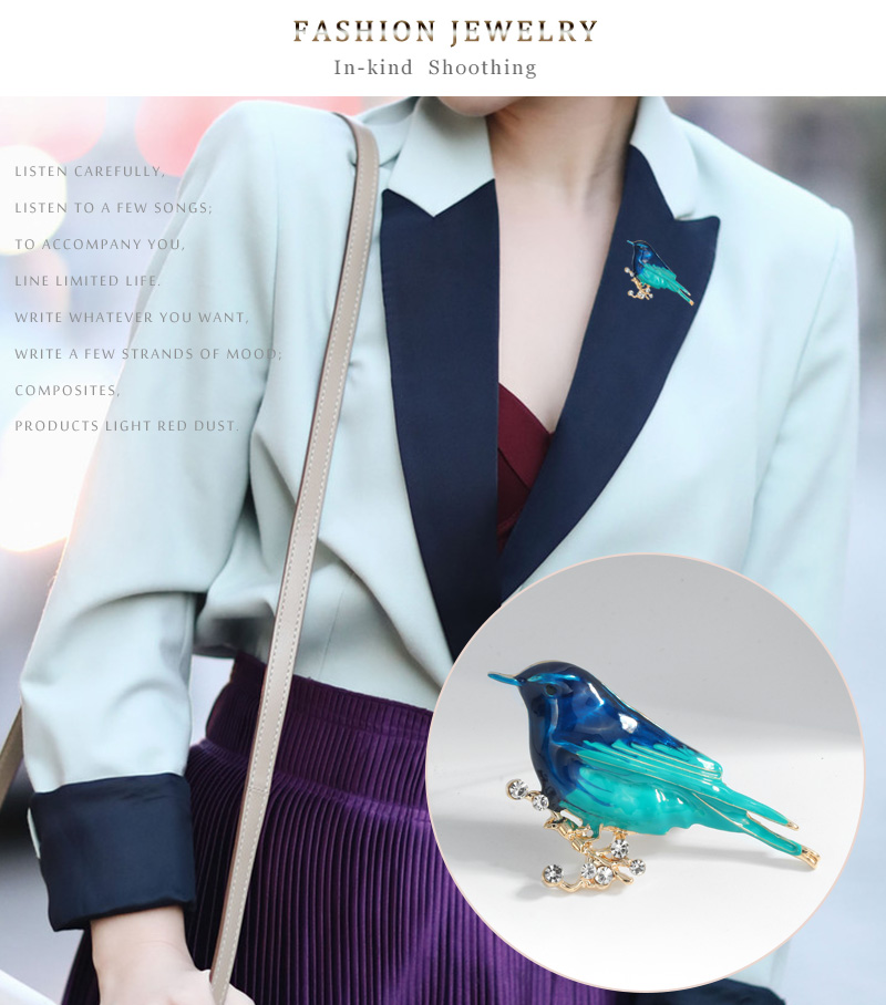 Simple Style Bird Alloy Inlay Rhinestones Unisex Brooches display picture 3
