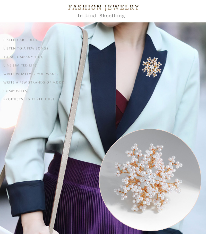 Fashion Snowflake Alloy Inlay Pearl Women's Brooches display picture 7