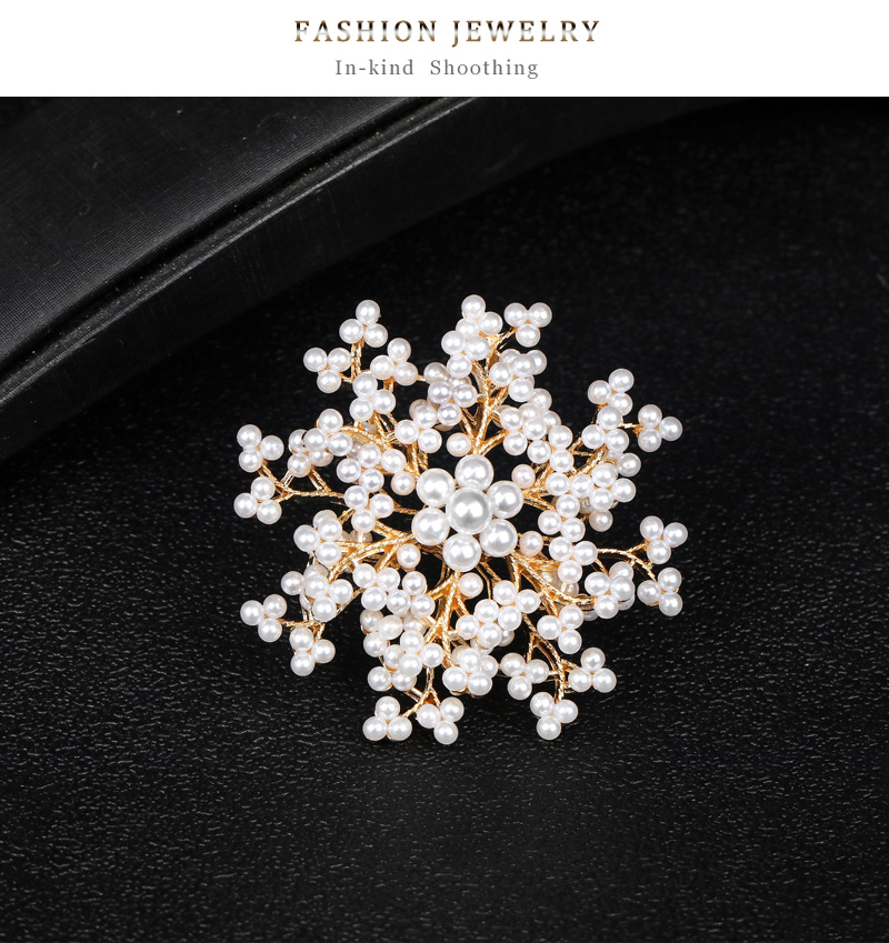 Fashion Snowflake Alloy Inlay Pearl Women's Brooches display picture 6